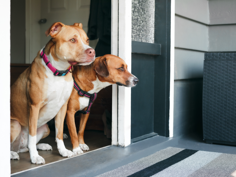 All-round protection